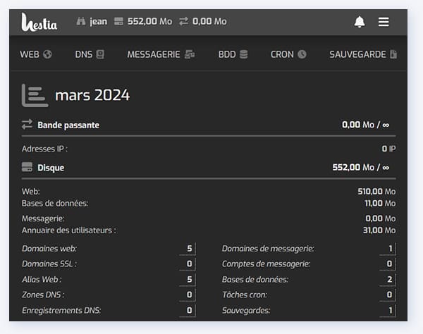 Suivi Complet avec les Statistiques HestiaCP